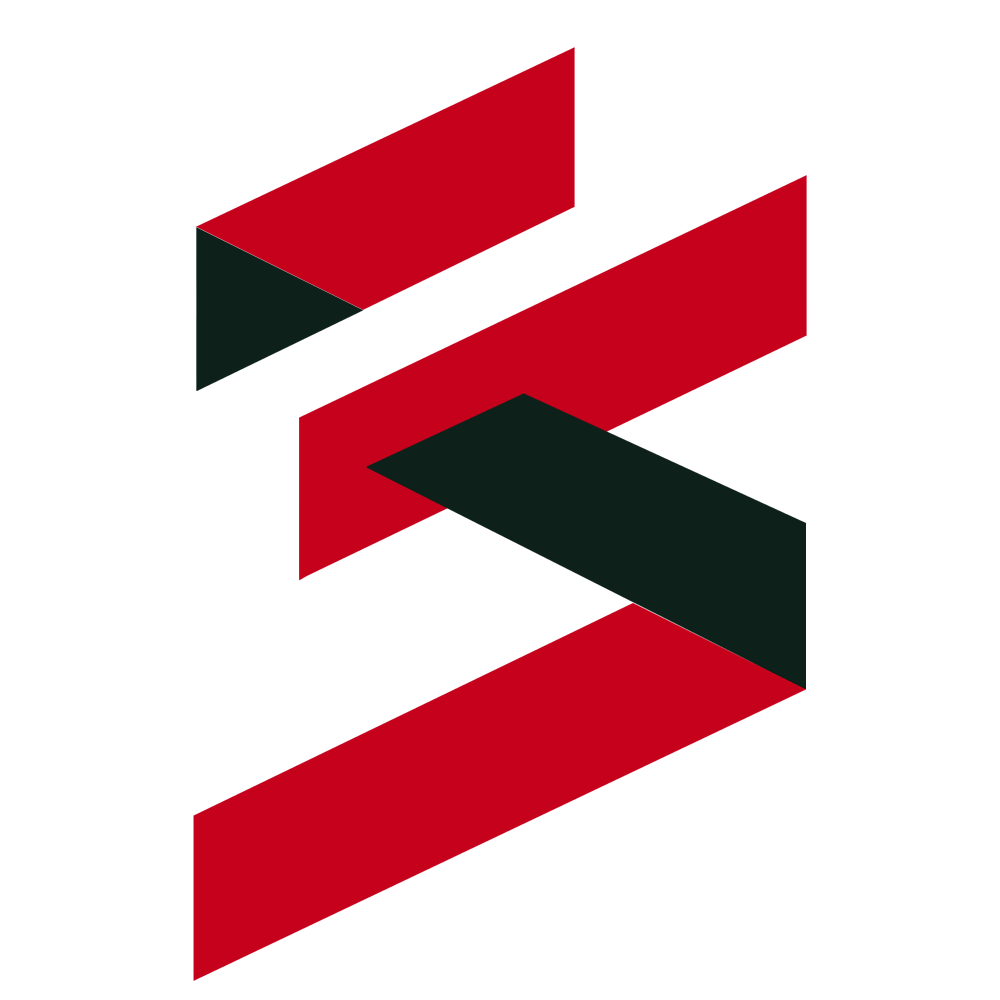 Sae Management Logo